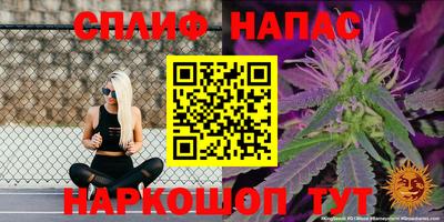 гидра Комсомольск-на-Амуре