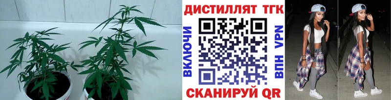 ТГК вейп  Воскресенск 