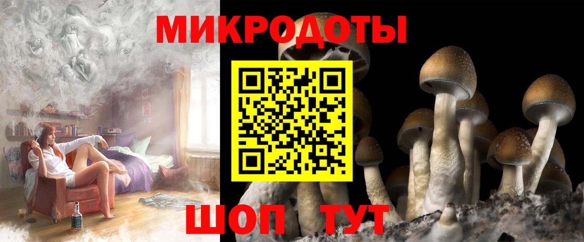 Воскресенск  Галлюциногенные грибы Psilocybe  Вход с VPN  купить   Галлюциногенные грибы GOLDEN TEACHER 